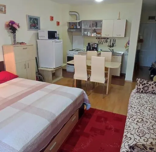 Apartman привилидж первая линия Szveti Vlasz